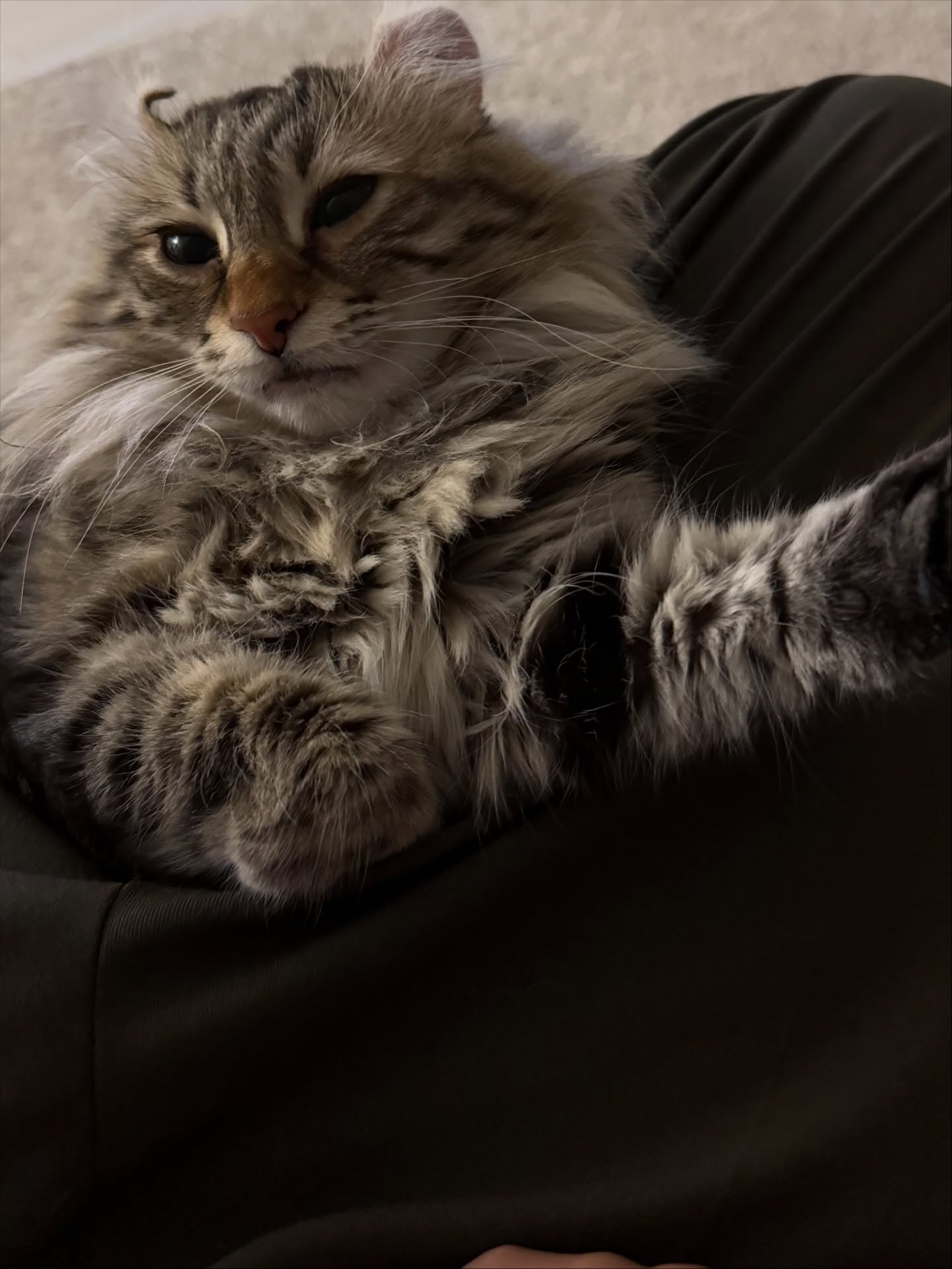 กั้ง - กรณ์ ศิริสรณ์