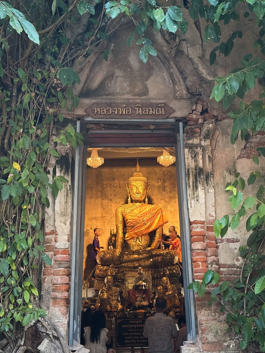 กั้ง - กรณ์ ศิริสรณ์