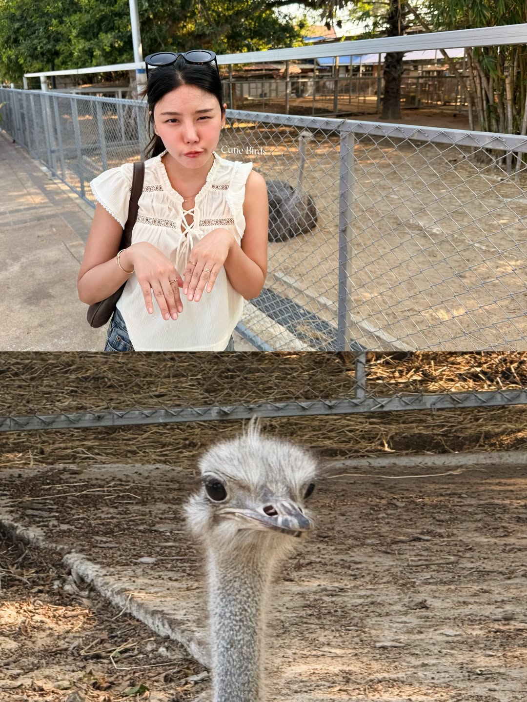 กั้ง - กรณ์ ศิริสรณ์