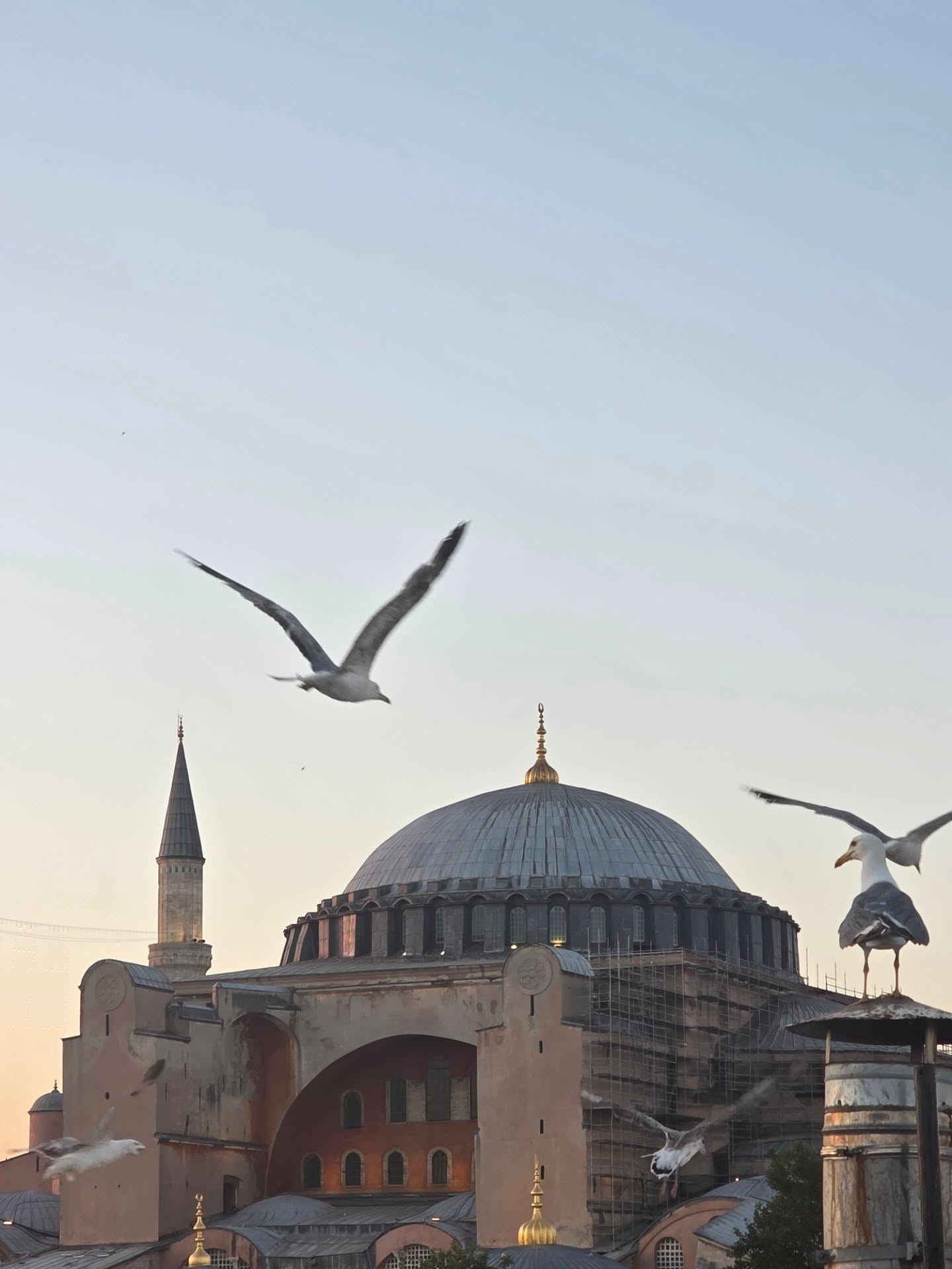 แม็กซ์ - ณัฐพล ดิลกนวฤทธิ์