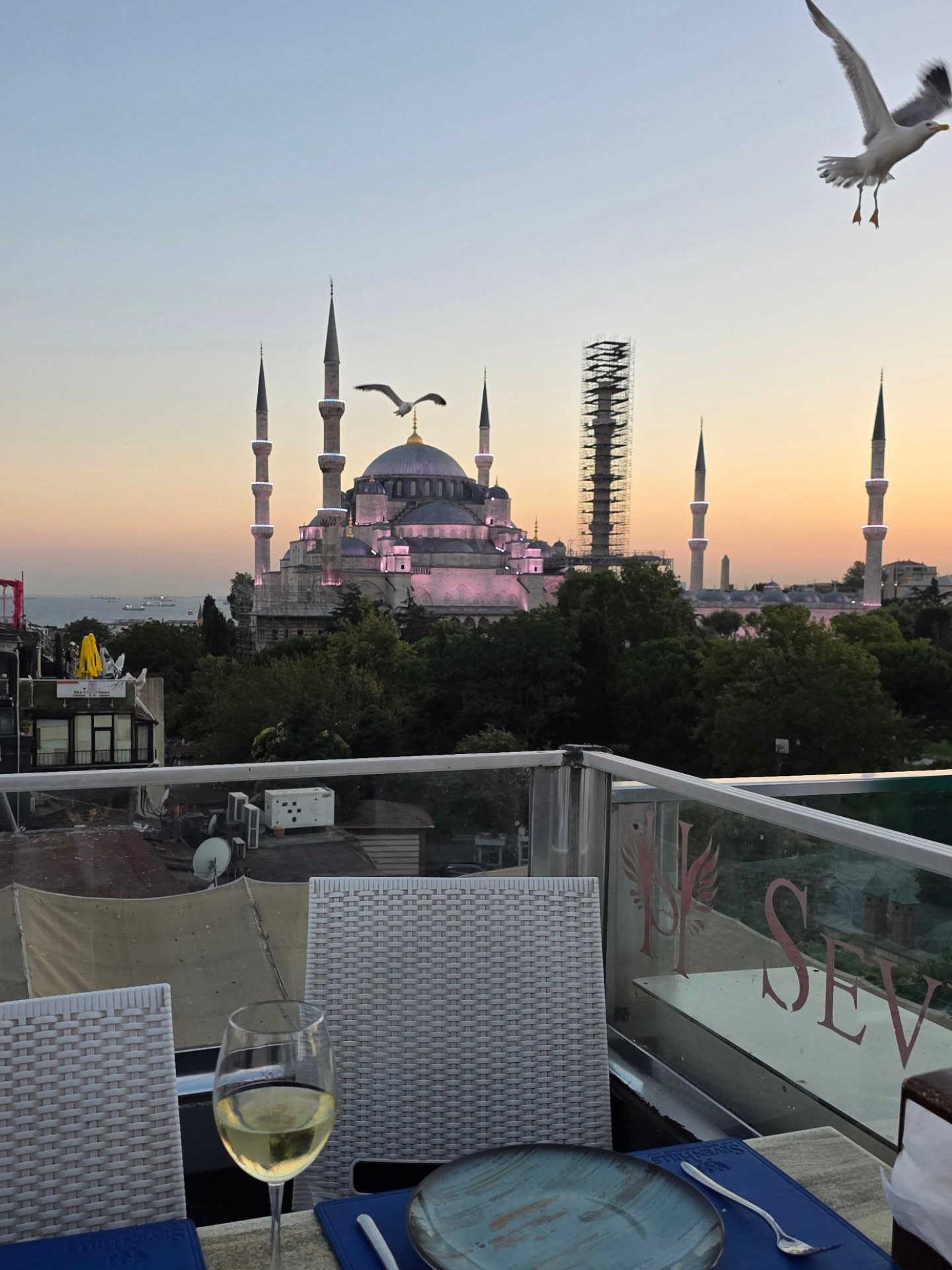 แม็กซ์ - ณัฐพล ดิลกนวฤทธิ์