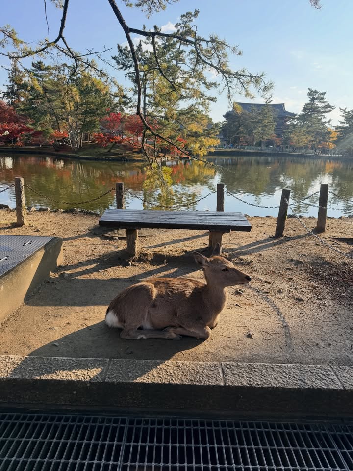 ปาล์ม - พีรวิชญ์ พินธะ