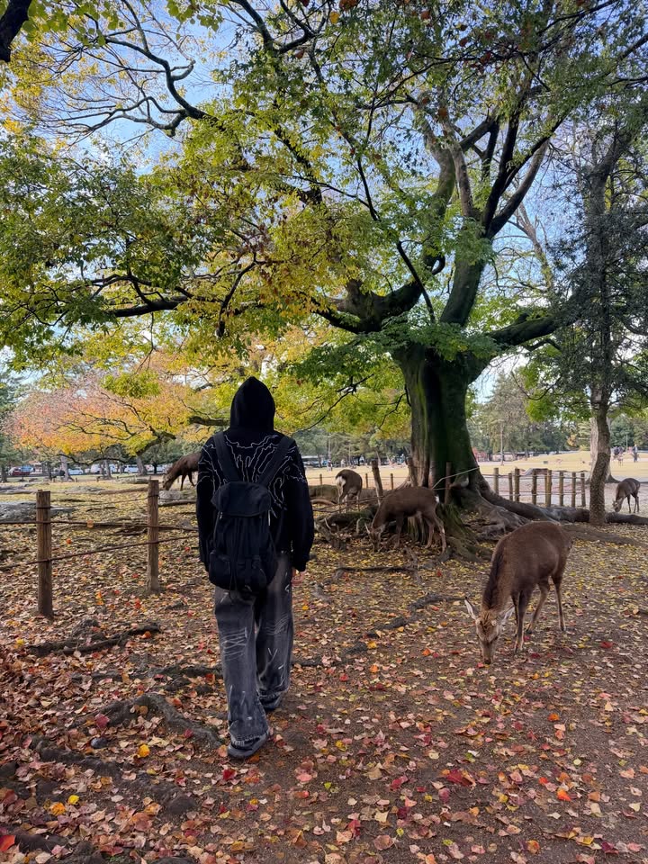 ปาล์ม - พีรวิชญ์ พินธะ