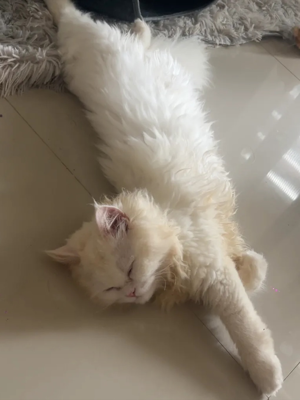 ปาล์ม - พีรวิชญ์ พินธะ