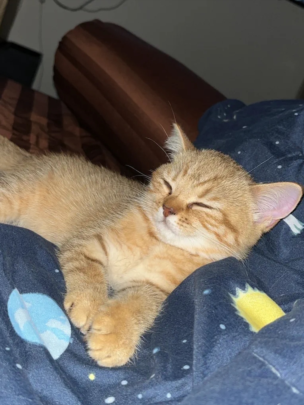 ปาล์ม - พีรวิชญ์ พินธะ