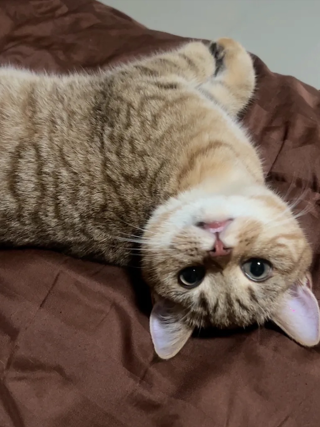 ปาล์ม - พีรวิชญ์ พินธะ