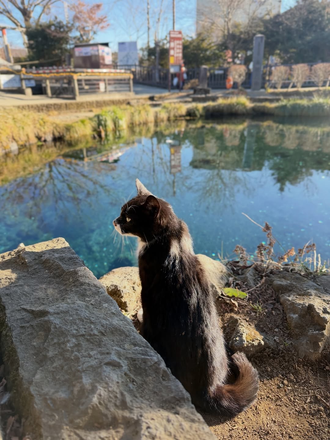 ปาล์ม - พีรวิชญ์ พินธะ