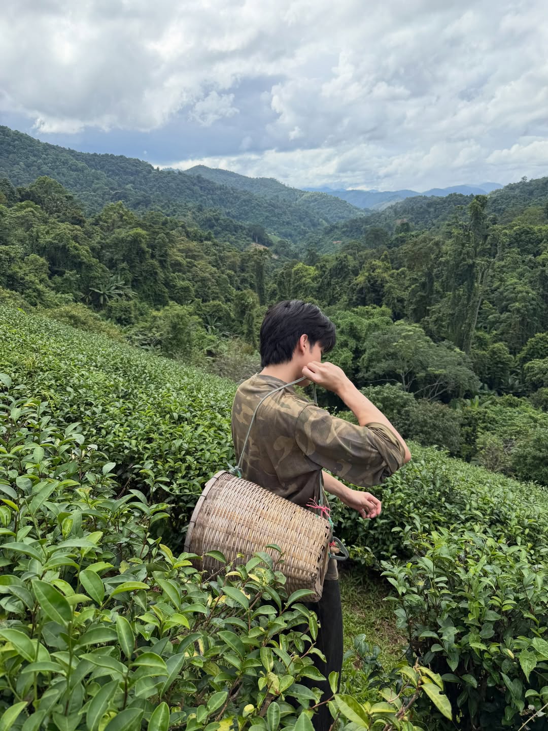 พาย - ศรัณวุฒิ นิตยสุทธิ