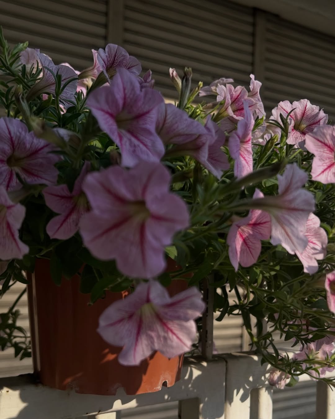 ธีร์ - ธีรติ เอกเสถียร