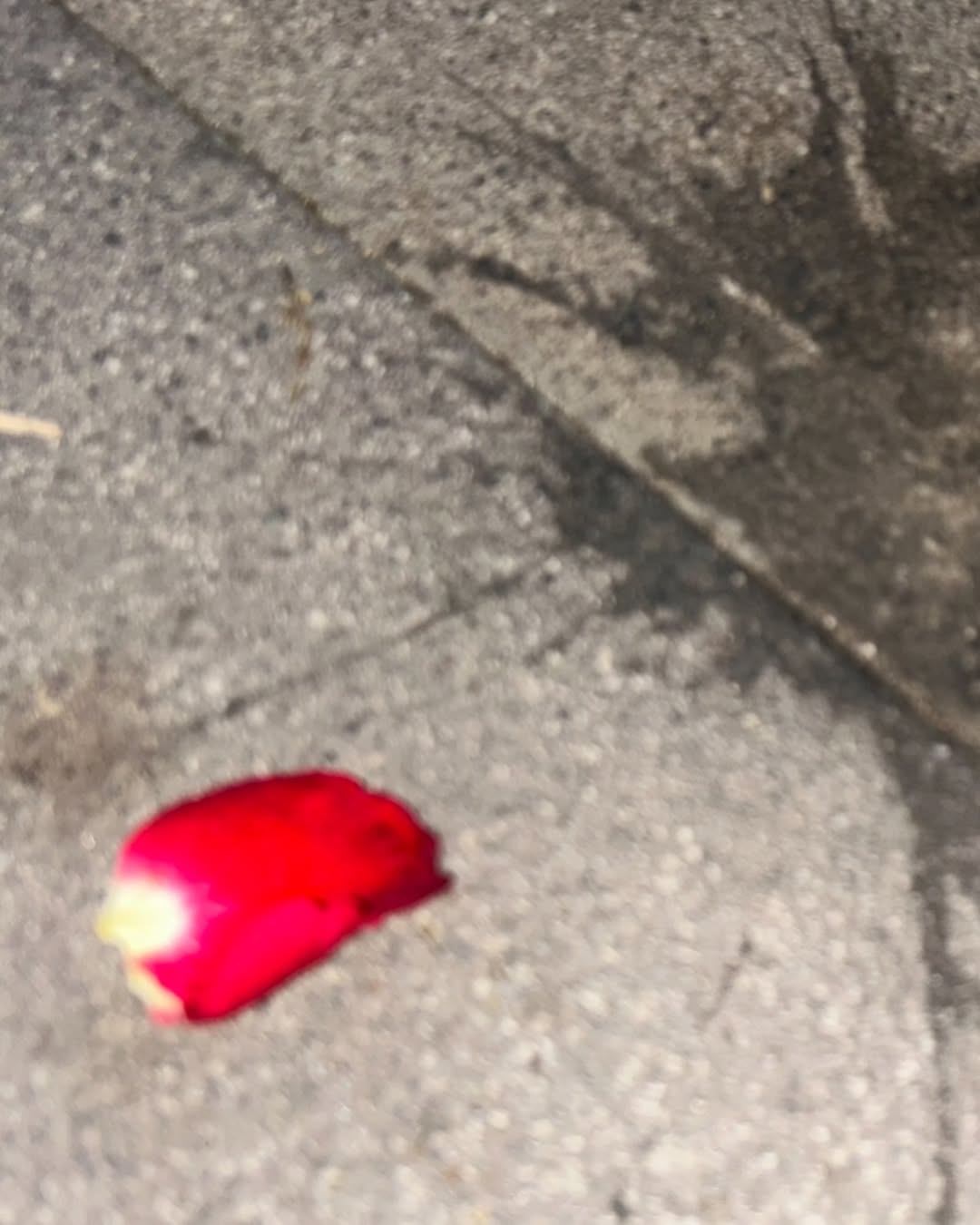 ธีร์ - ธีรติ เอกเสถียร