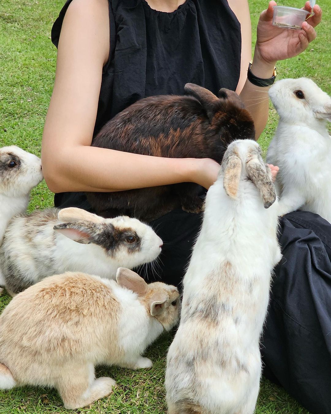 หนูนา - หนึ่งธิดา โสภณ