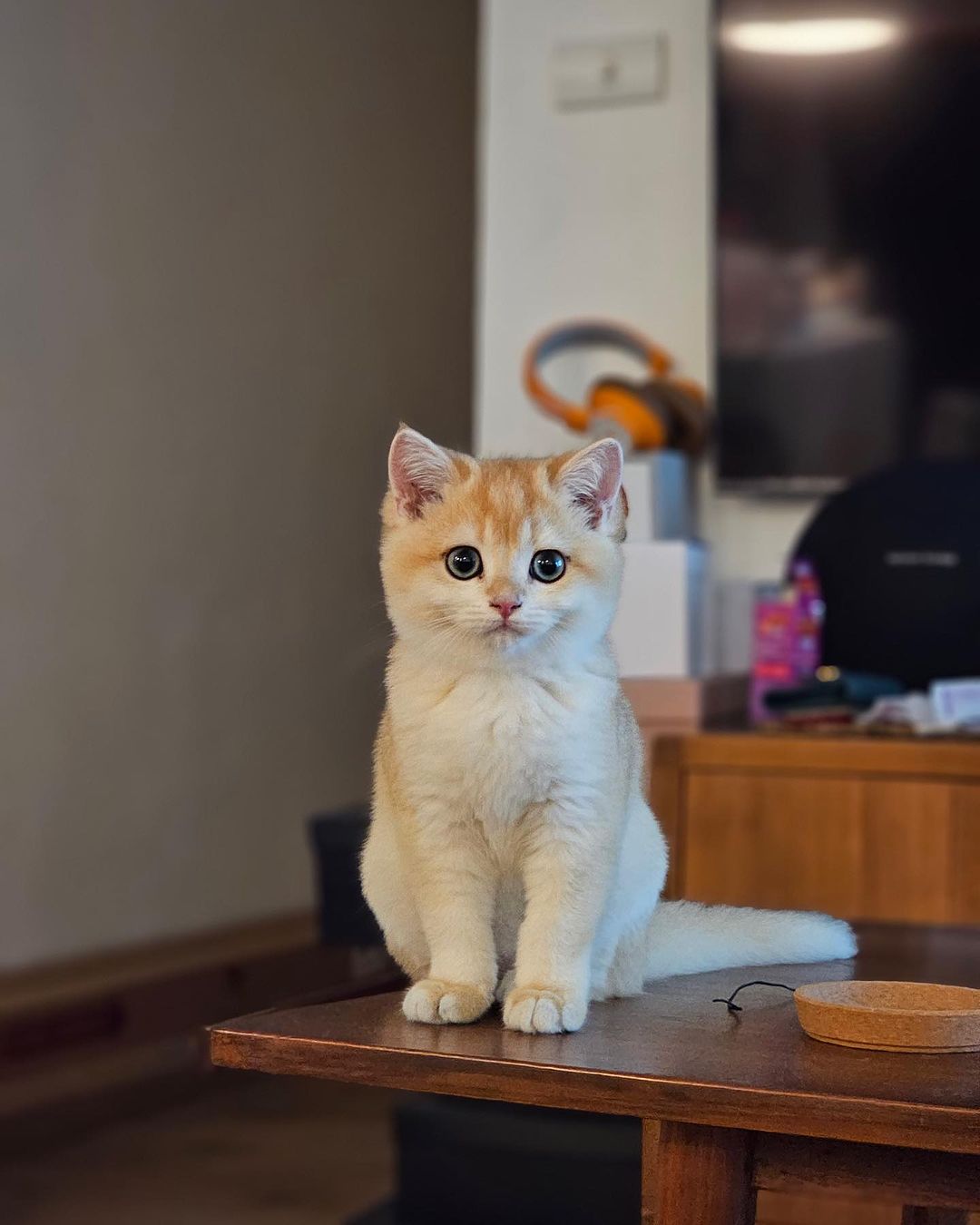 หนูนา - หนึ่งธิดา โสภณ