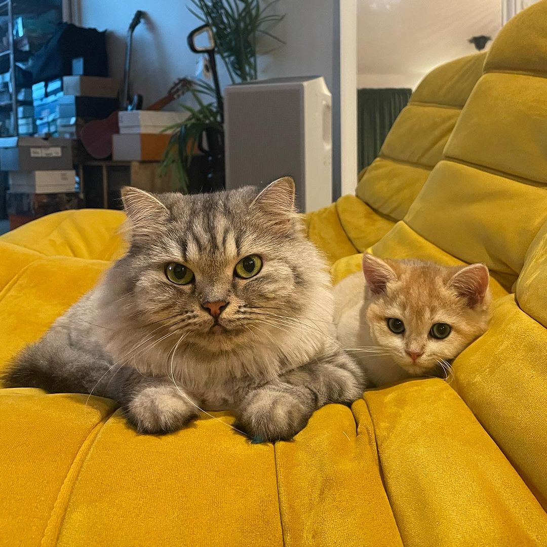 หนูนา - หนึ่งธิดา โสภณ