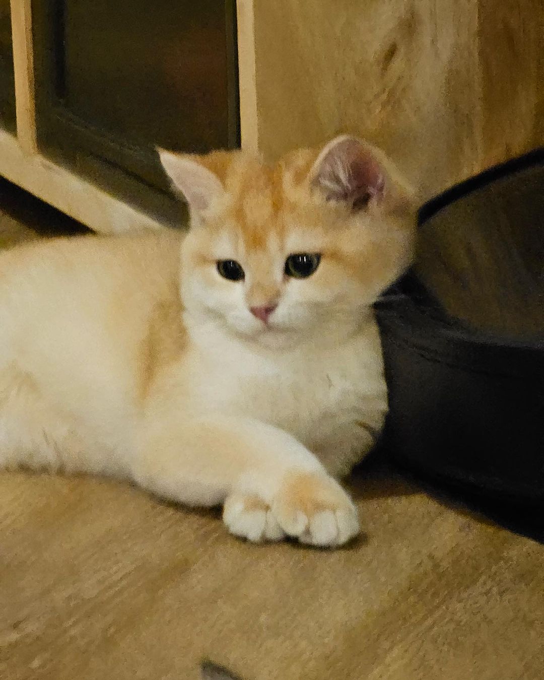 หนูนา - หนึ่งธิดา โสภณ