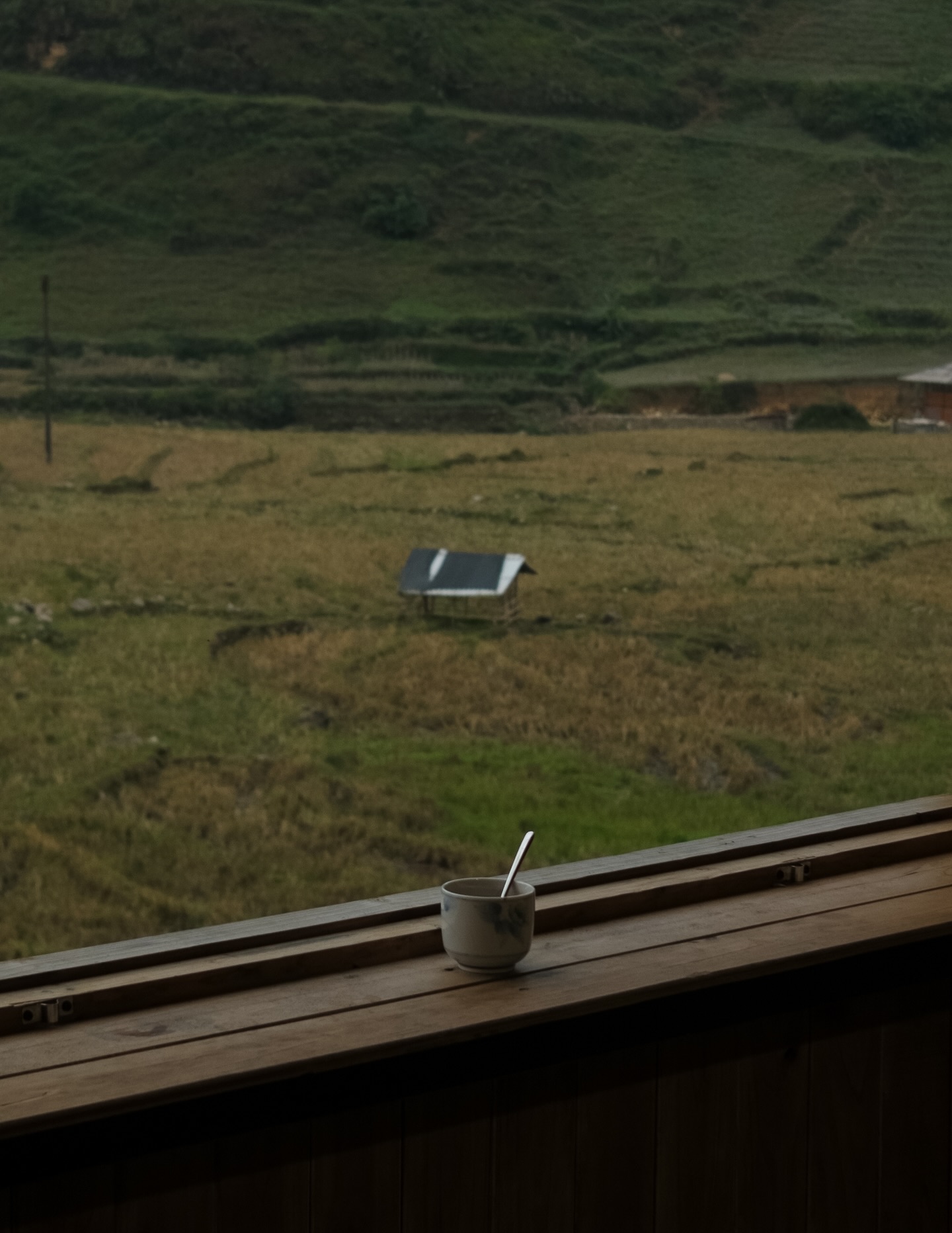 หนูนา - หนึ่งธิดา โสภณ