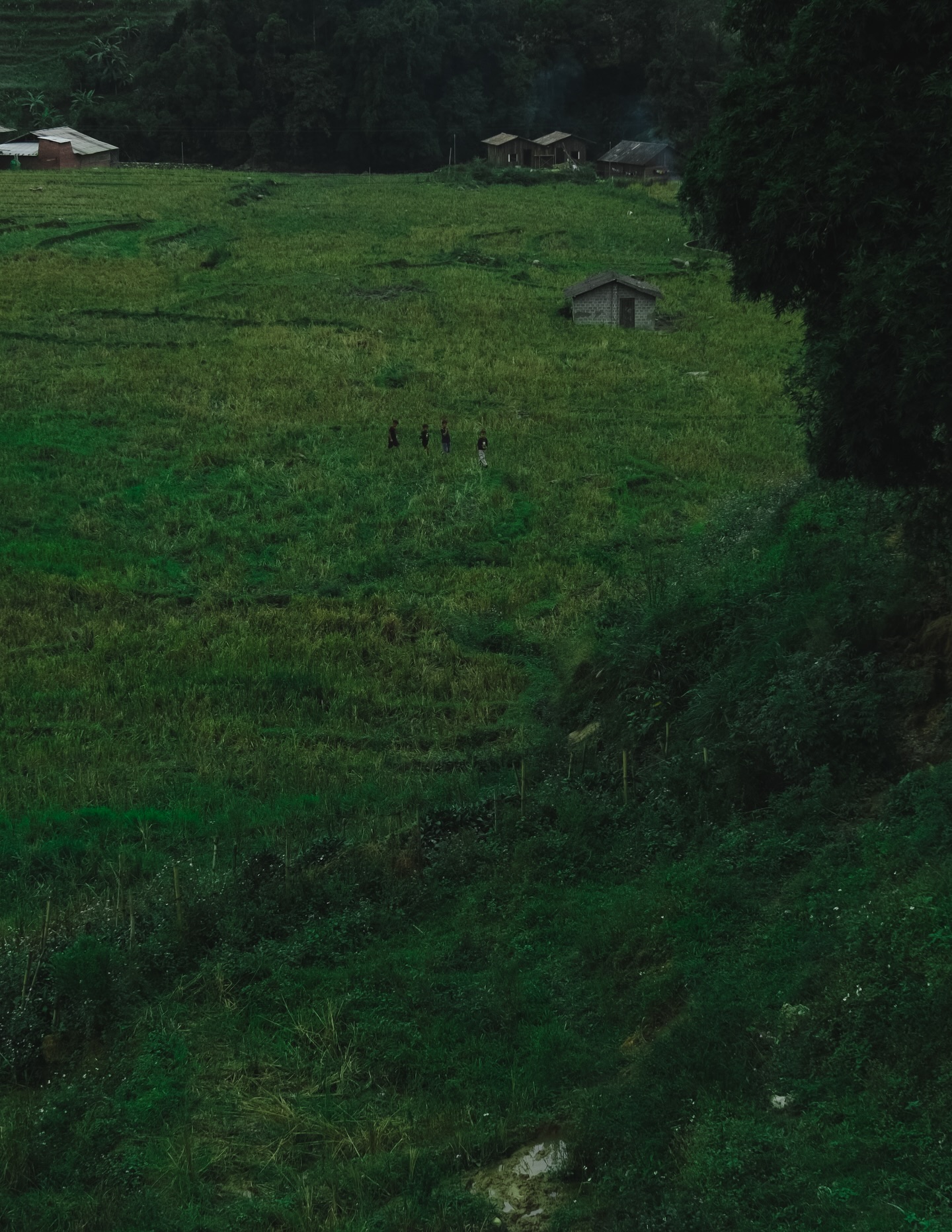 หนูนา - หนึ่งธิดา โสภณ