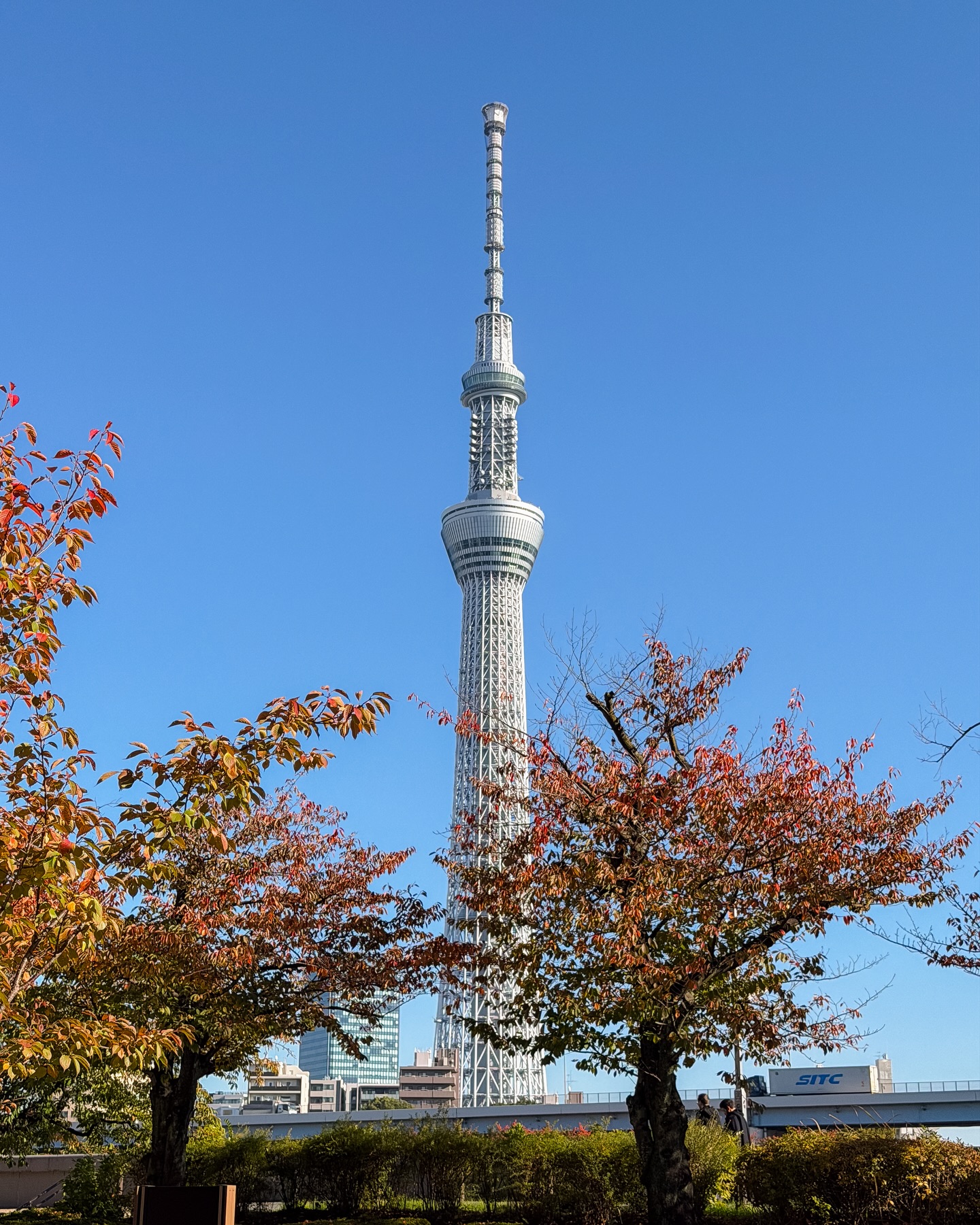 หนูนา - หนึ่งธิดา โสภณ