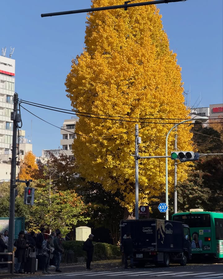 หนูนา - หนึ่งธิดา โสภณ