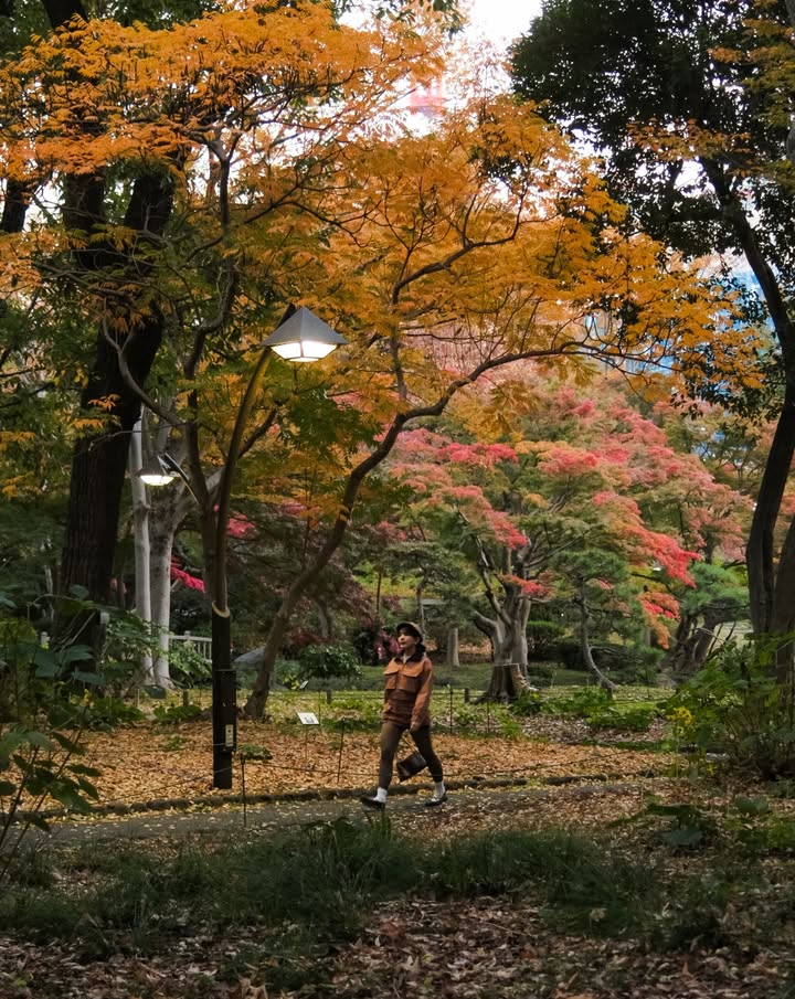 หนูนา - หนึ่งธิดา โสภณ