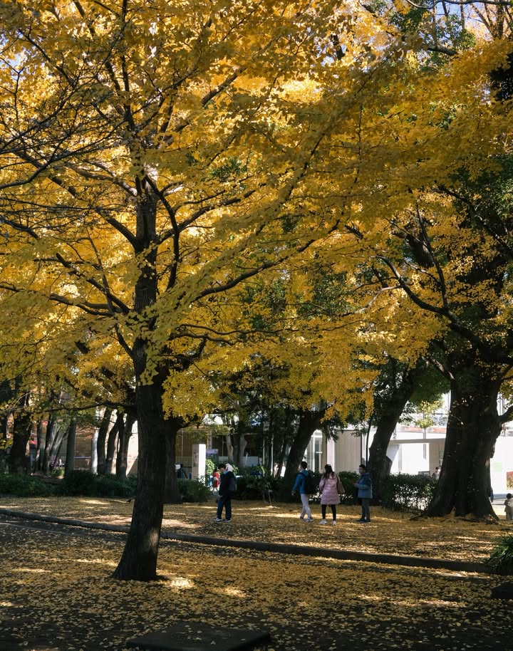 หนูนา - หนึ่งธิดา โสภณ