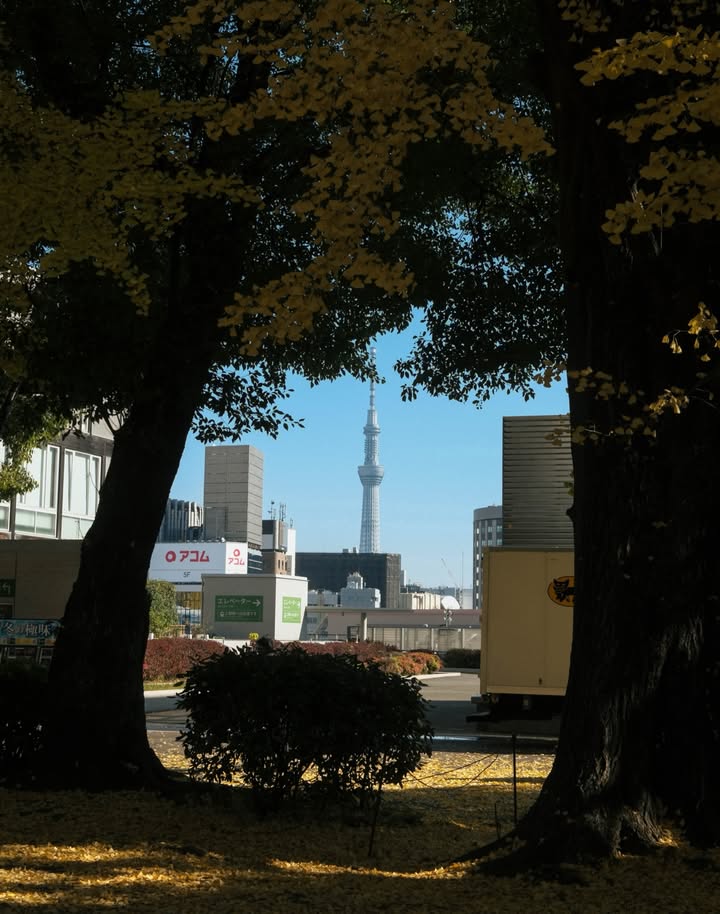 หนูนา - หนึ่งธิดา โสภณ