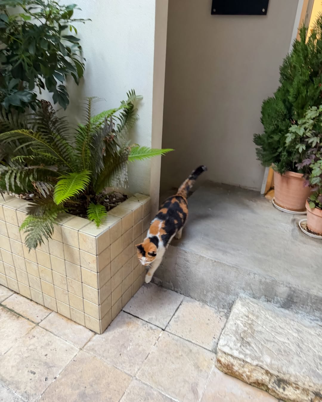 หนูนา - หนึ่งธิดา โสภณ