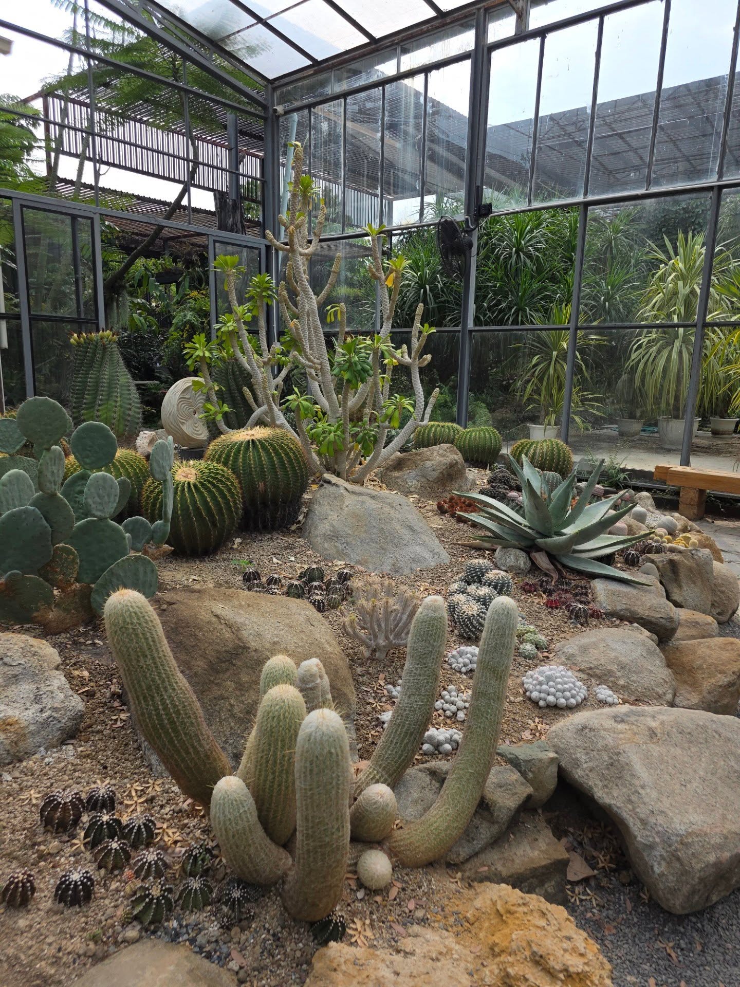 กาด พลอยสุภา