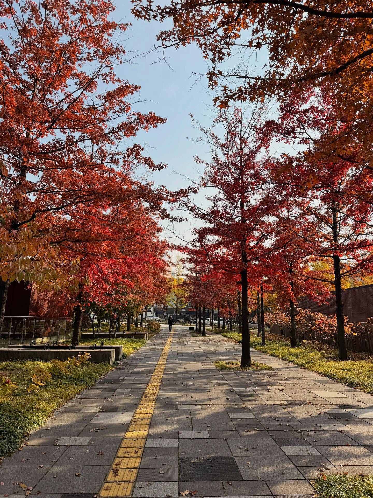 เกรท - สพล อัศวมั่นคง