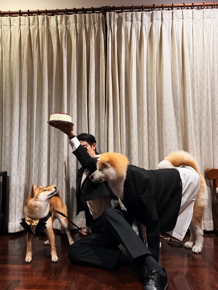 เกรท - สพล อัศวมั่นคง