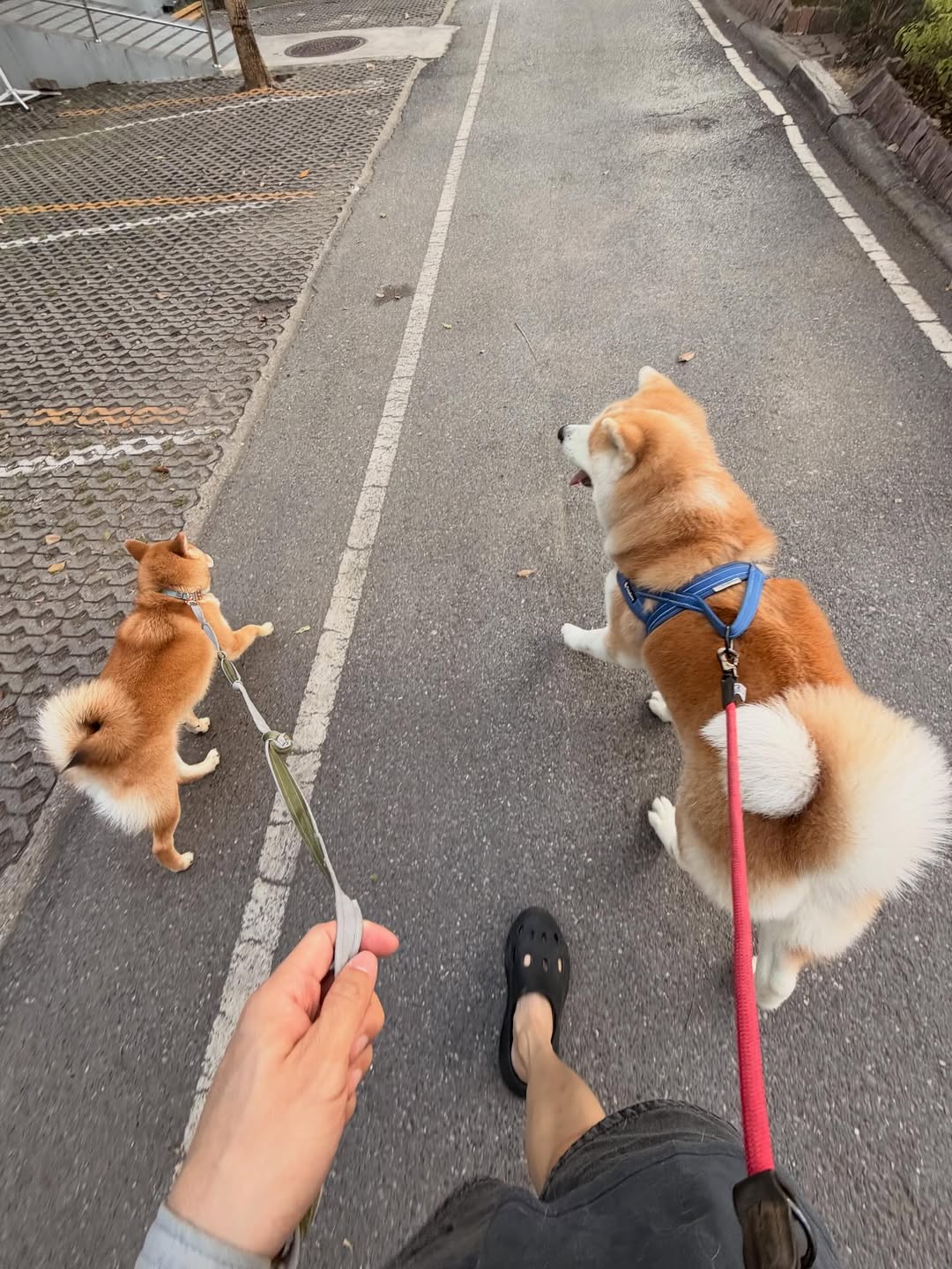 เกรท - สพล อัศวมั่นคง