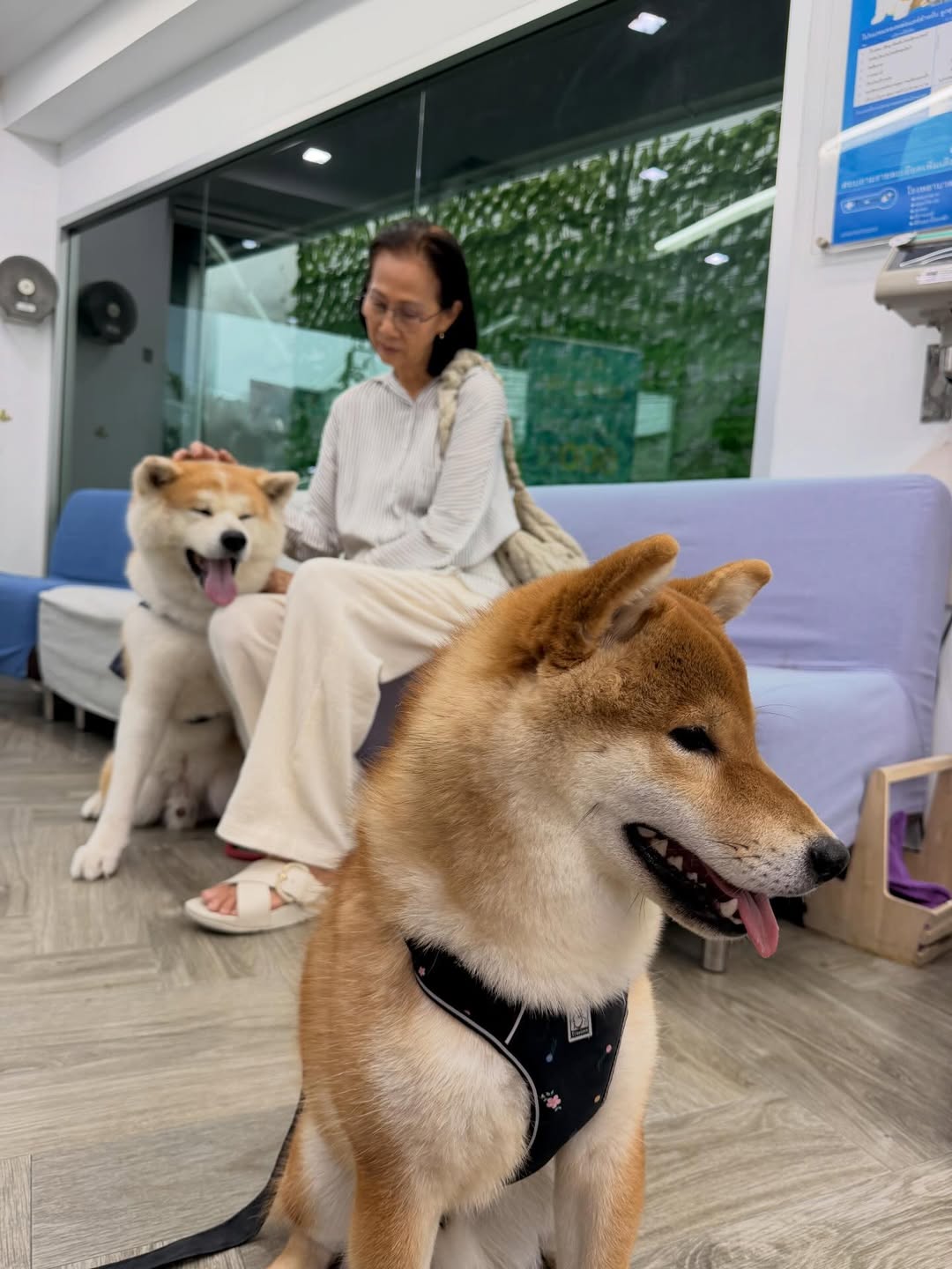 เกรท - สพล อัศวมั่นคง