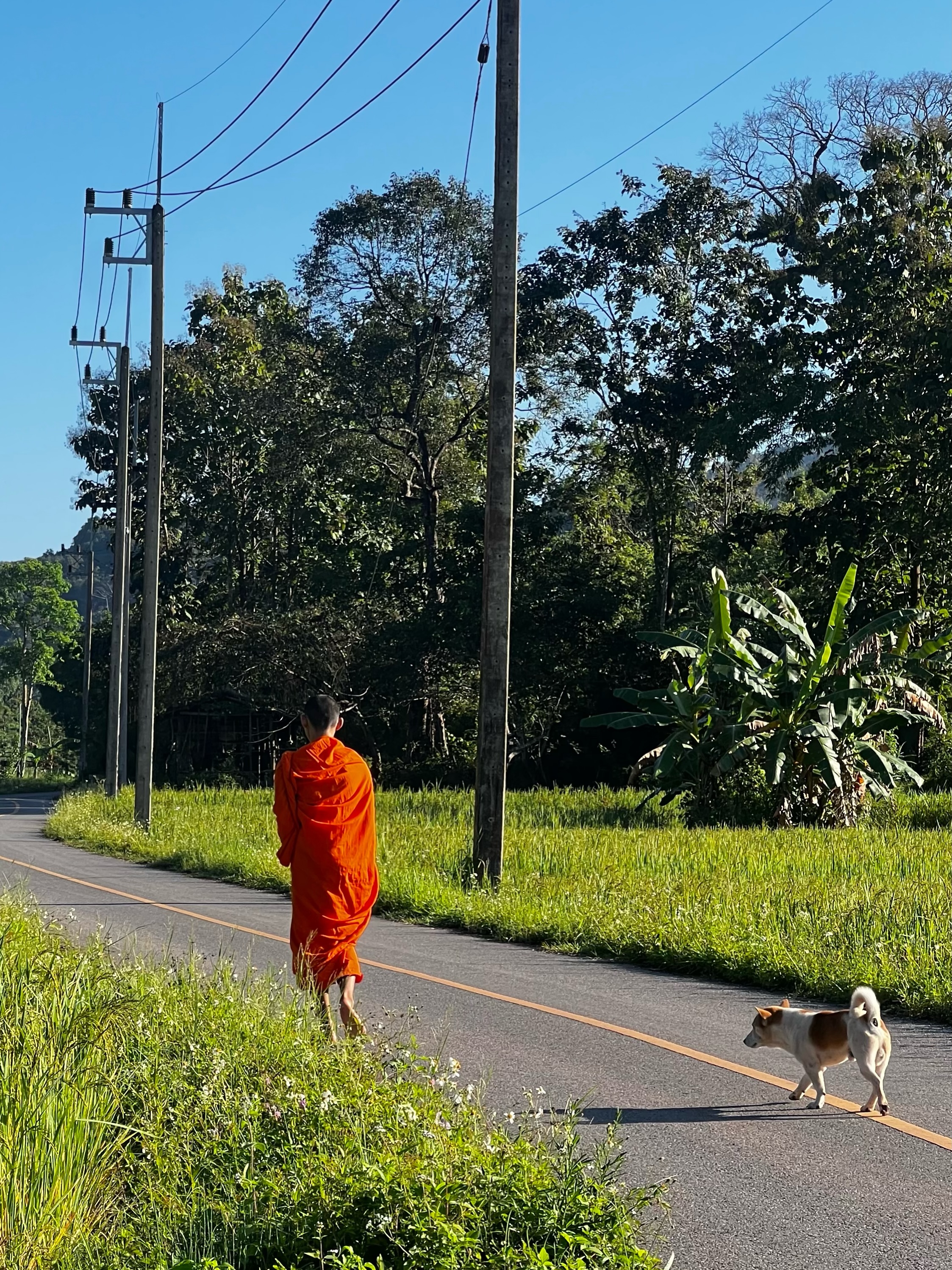 นุ้ย - ธนวัฒน์ ประสิทธิสมพร