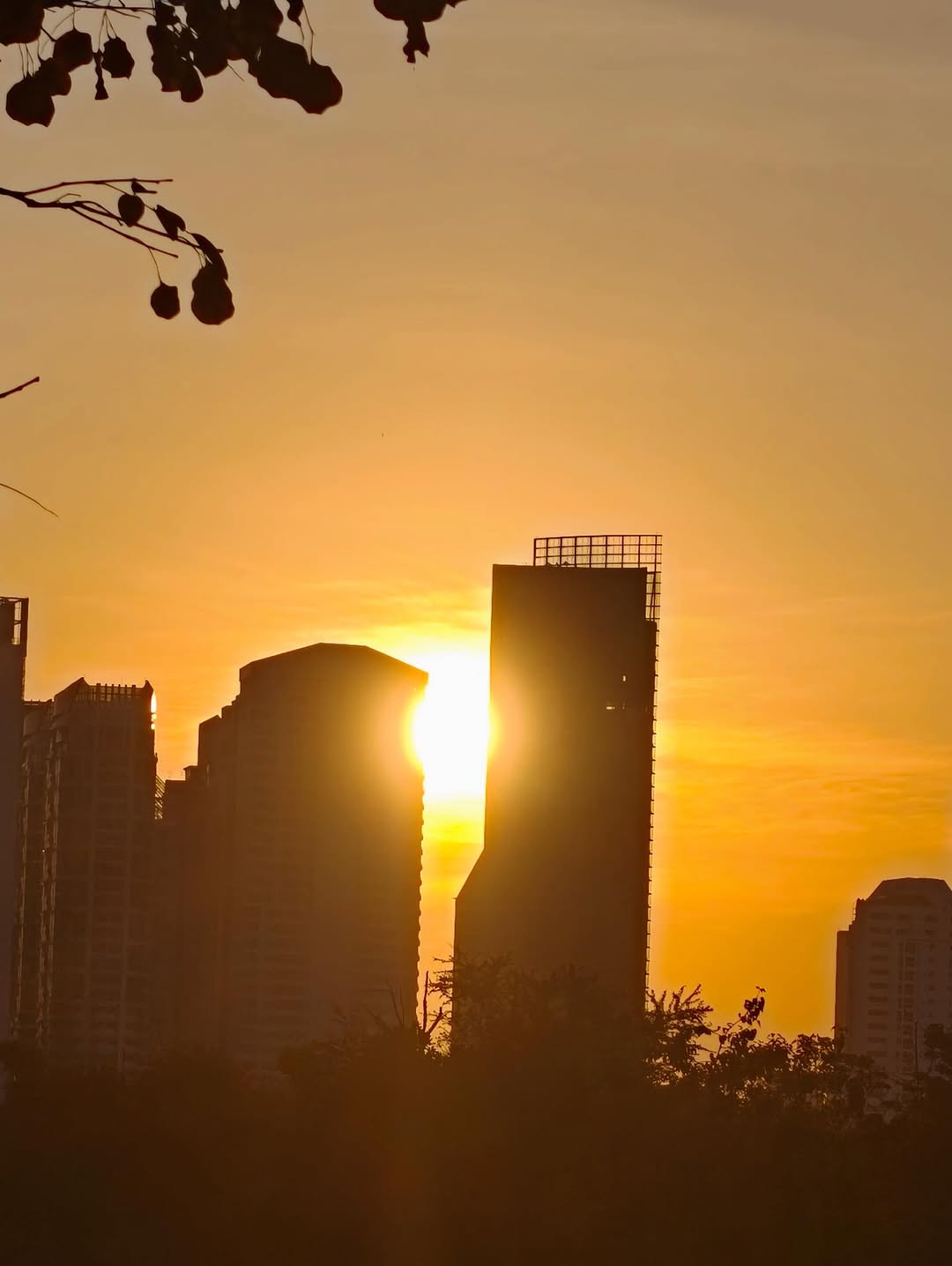 ต่อ - ธนภพ ลีรัตนขจร