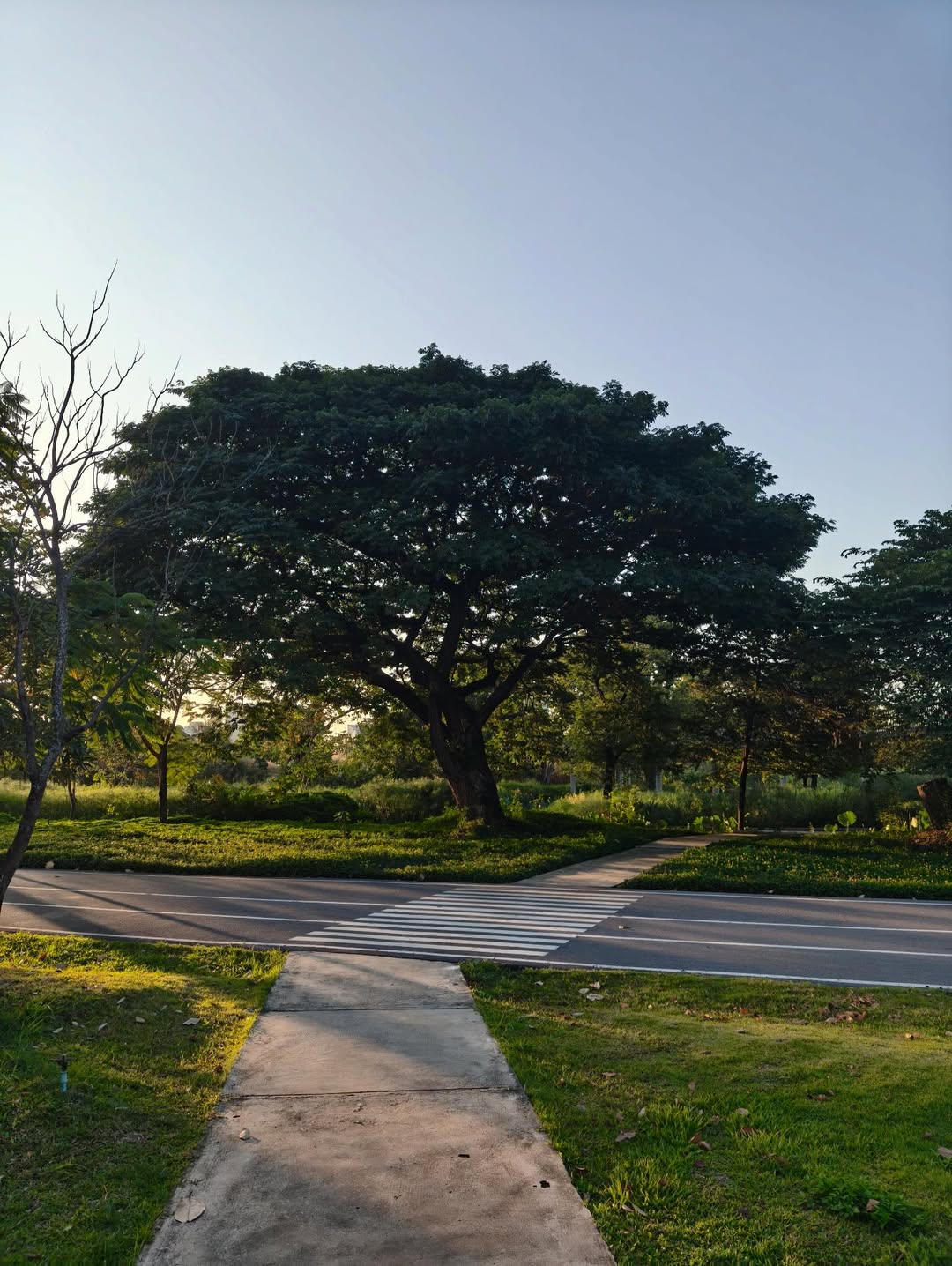 ต่อ - ธนภพ ลีรัตนขจร