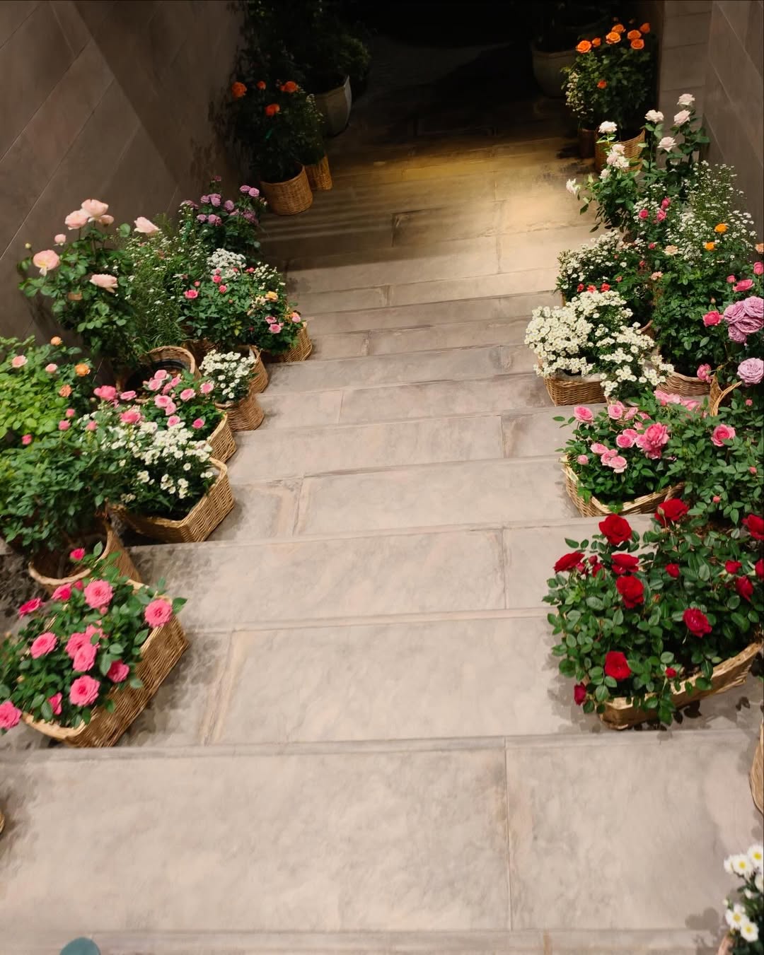 ต่อ - ธนภพ ลีรัตนขจร