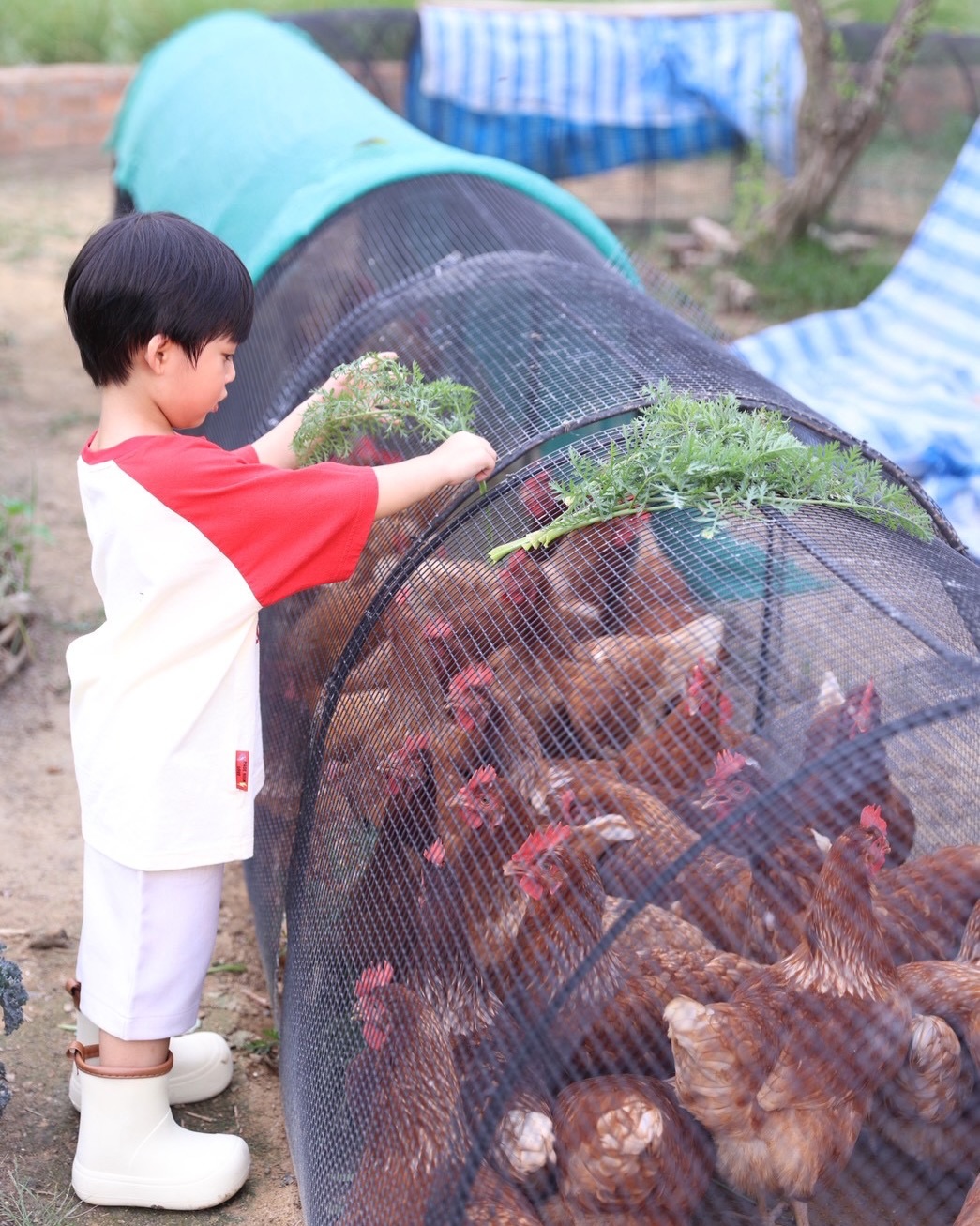 จุ๋ย - วรัทยา นิลคูหา