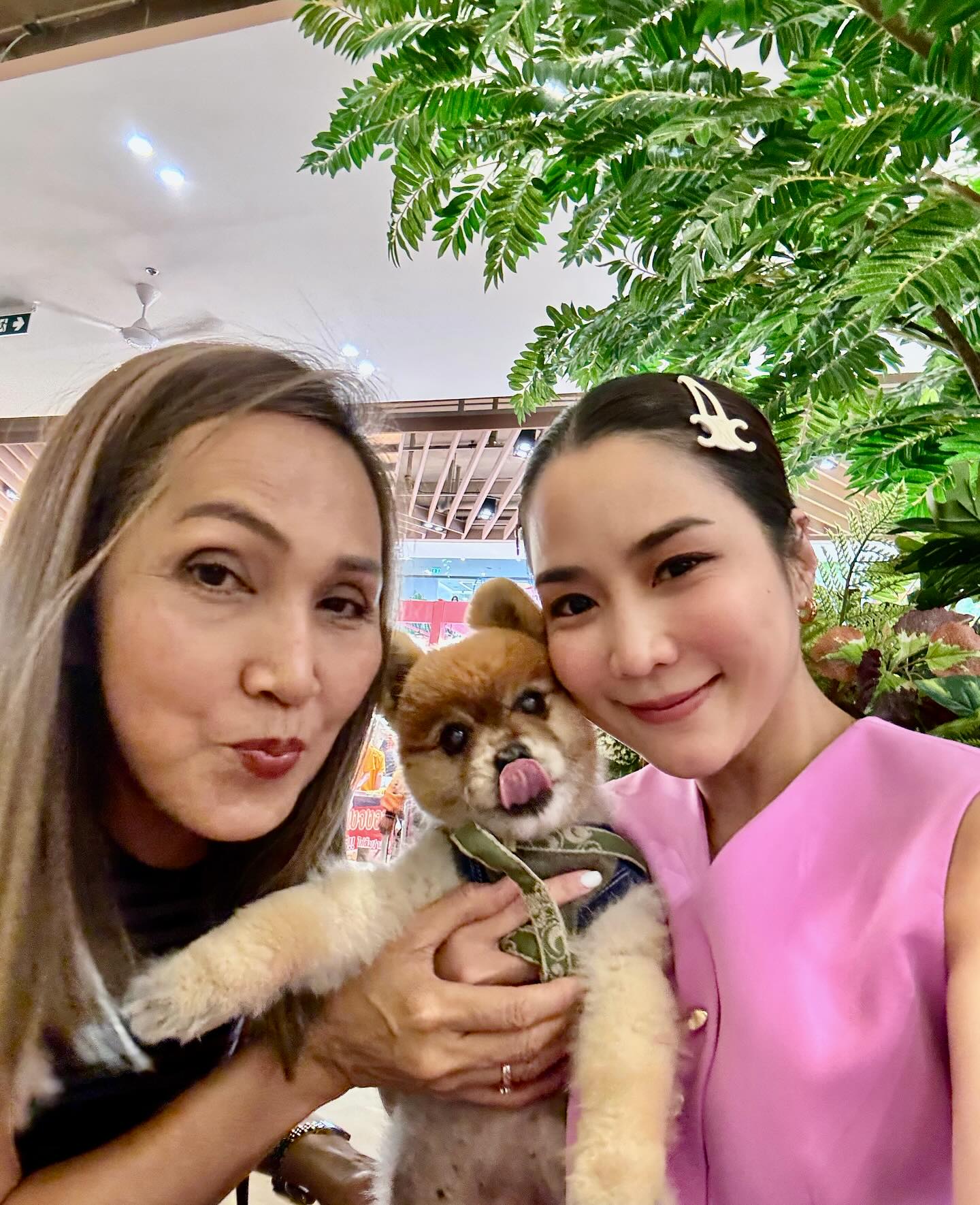 จั๊กจั่น - อคัมย์สิริ สุวรรณศุข