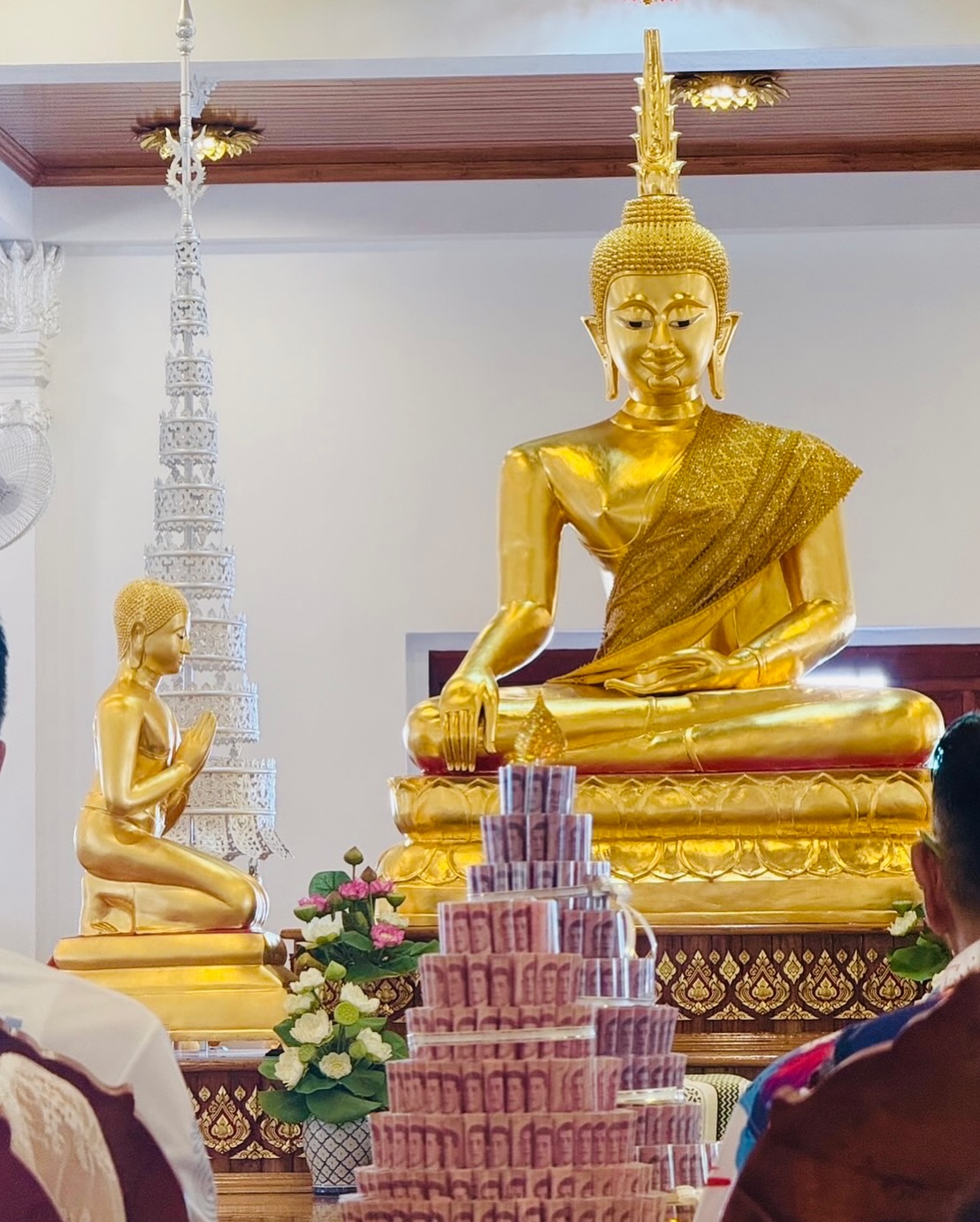 จั๊กจั่น - อคัมย์สิริ สุวรรณศุข