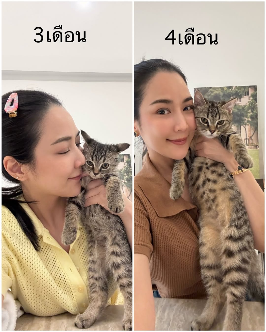 จั๊กจั่น - อคัมย์สิริ สุวรรณศุข