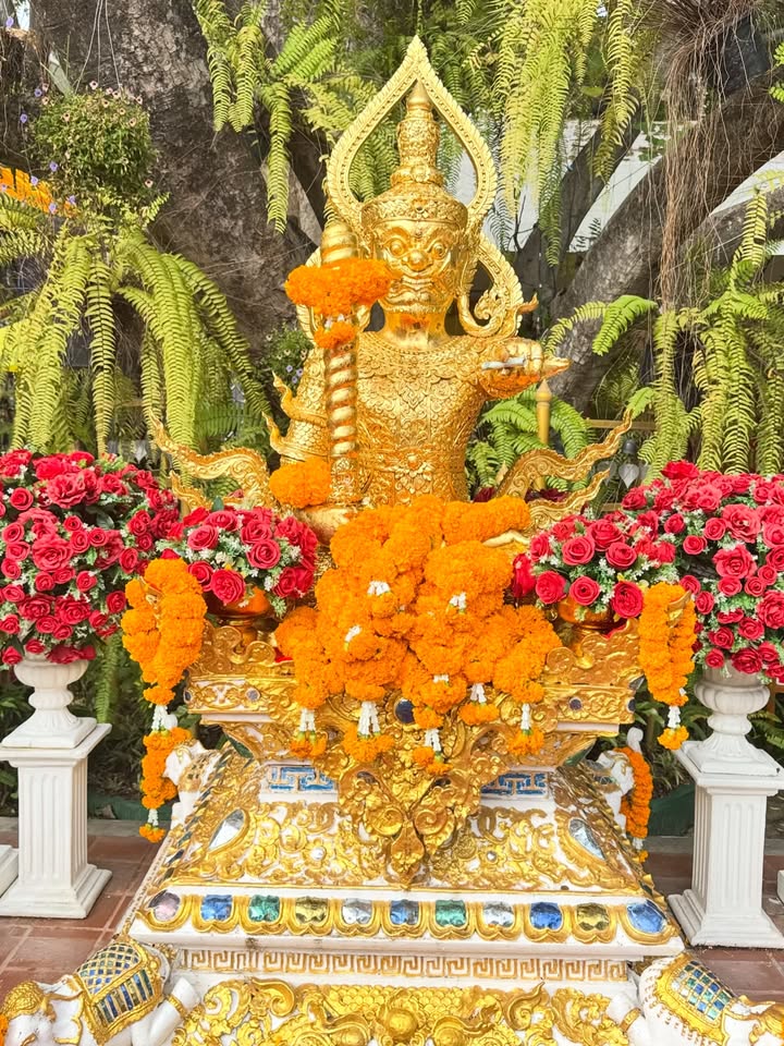 จั๊กจั่น - อคัมย์สิริ สุวรรณศุข