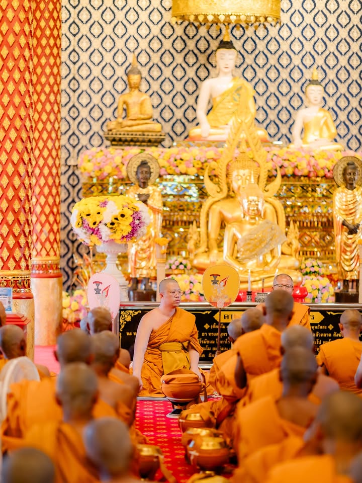 จั๊กจั่น - อคัมย์สิริ สุวรรณศุข