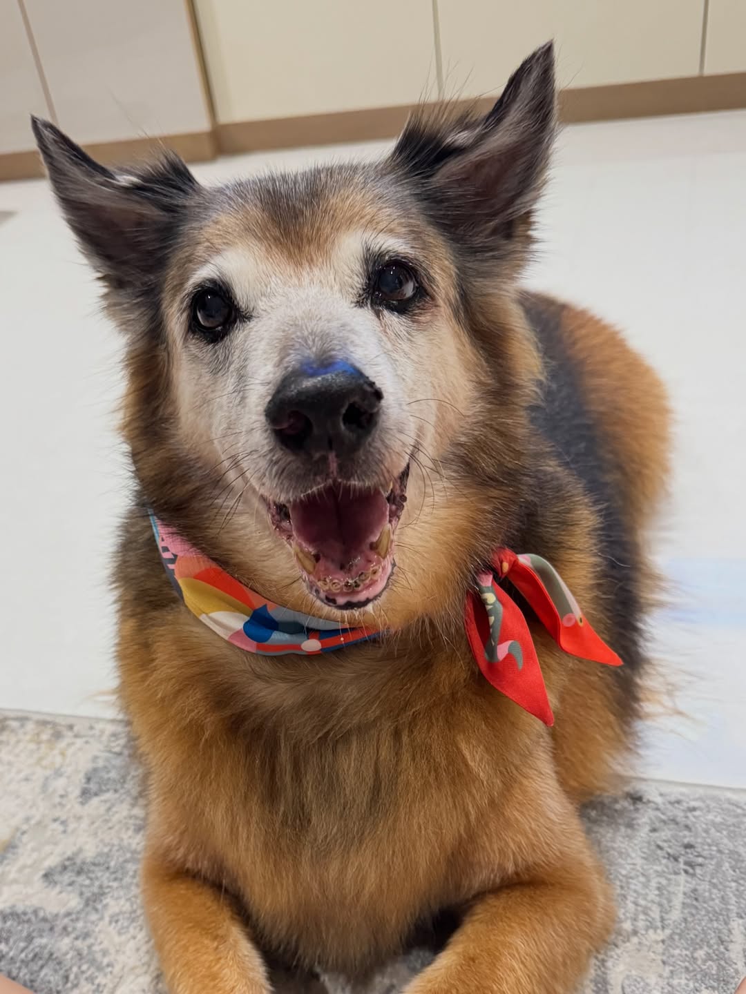 จั๊กจั่น - อคัมย์สิริ สุวรรณศุข