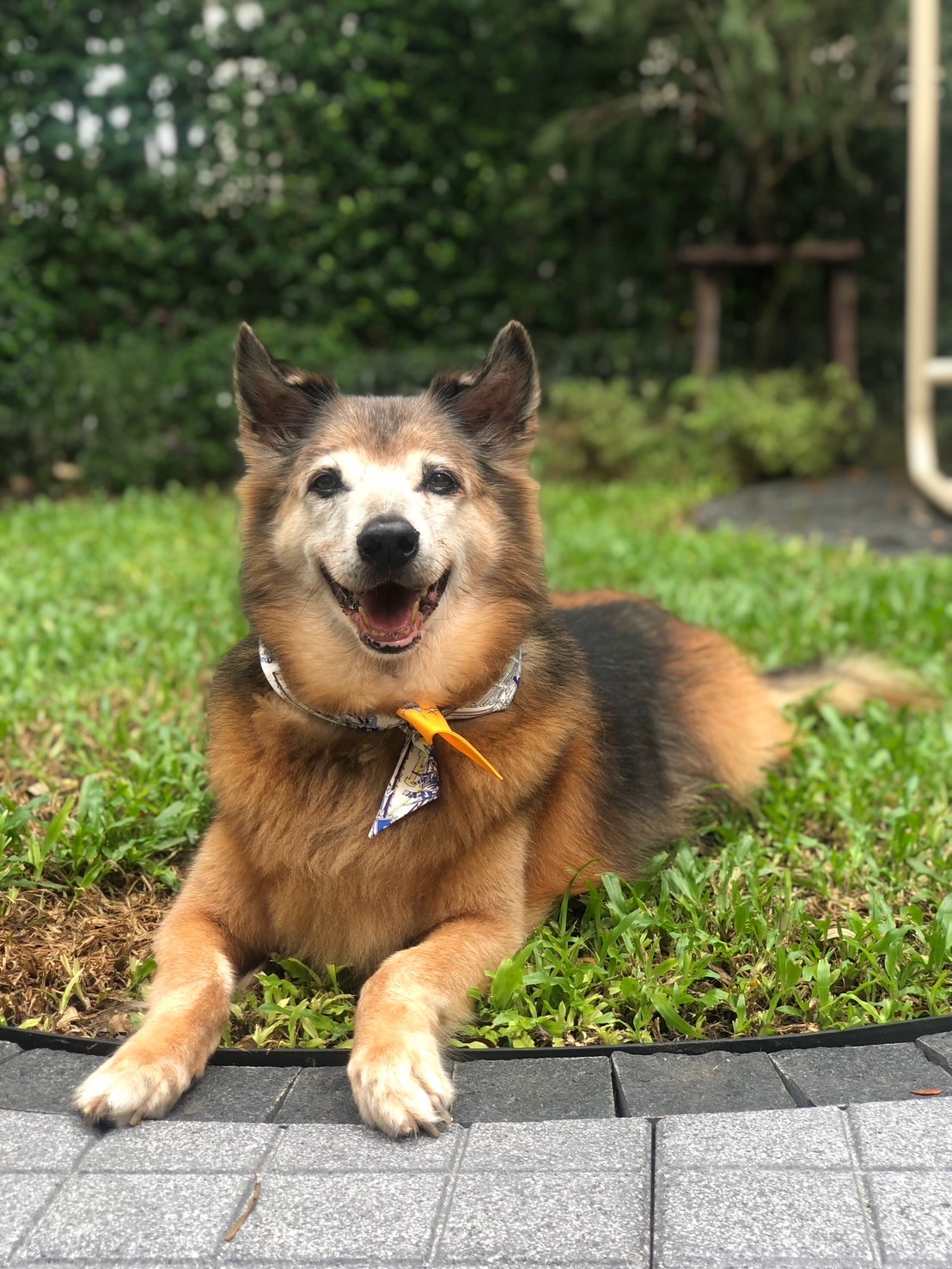 จั๊กจั่น - อคัมย์สิริ สุวรรณศุข