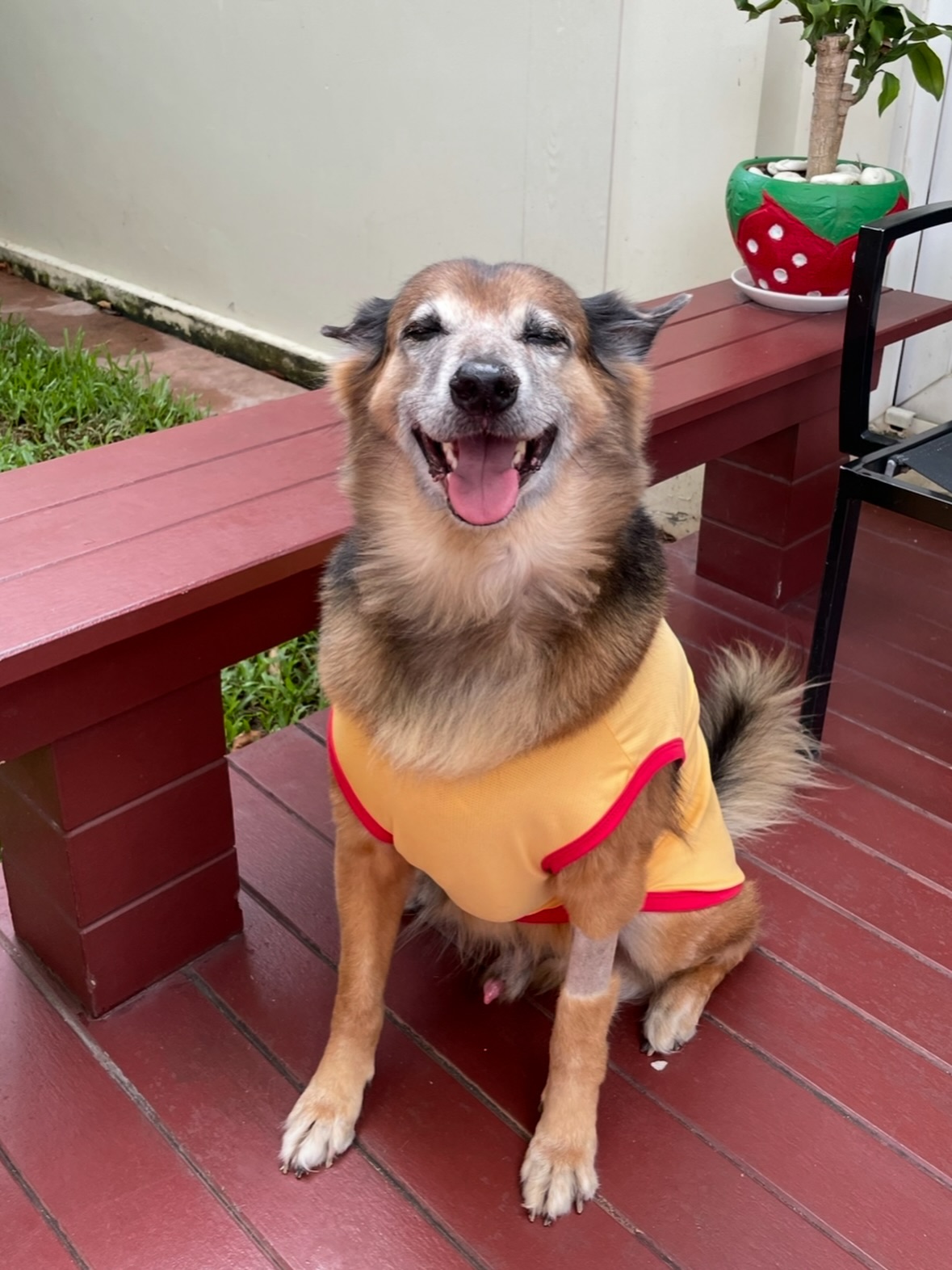 จั๊กจั่น - อคัมย์สิริ สุวรรณศุข