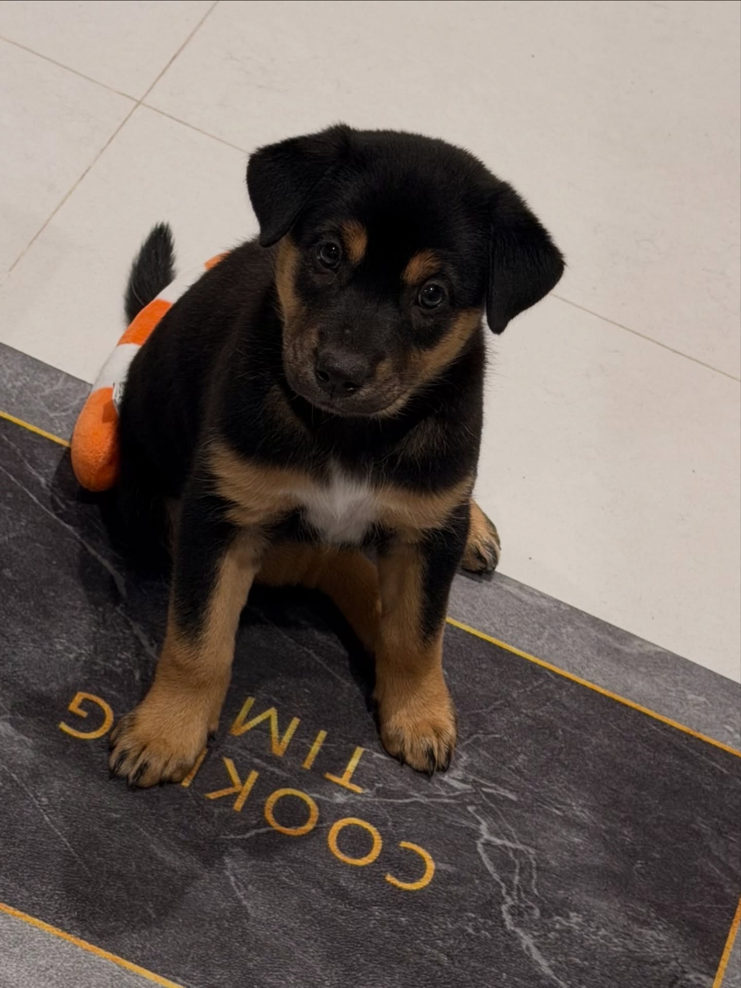 จั๊กจั่น - อคัมย์สิริ สุวรรณศุข