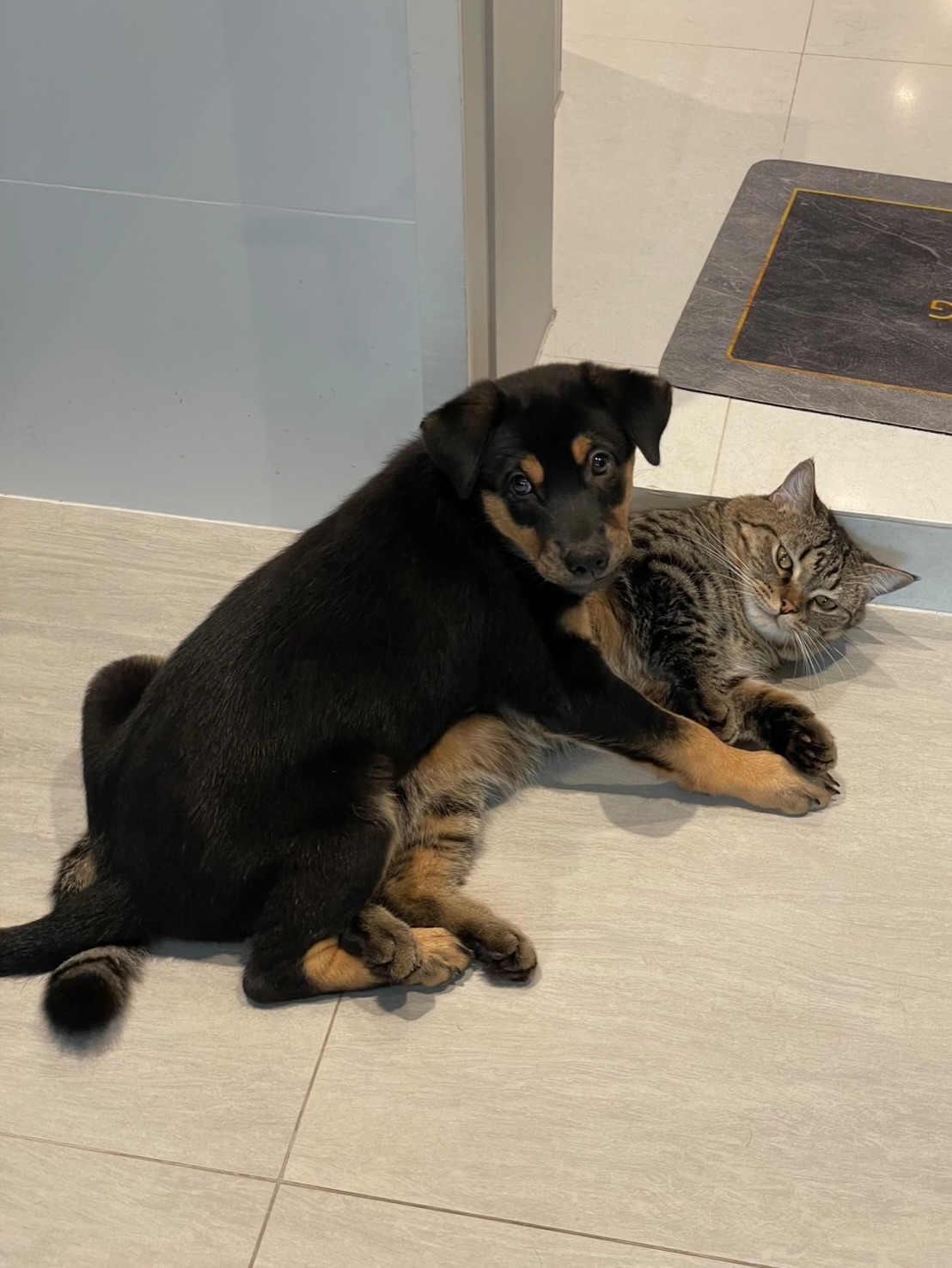 จั๊กจั่น - อคัมย์สิริ สุวรรณศุข