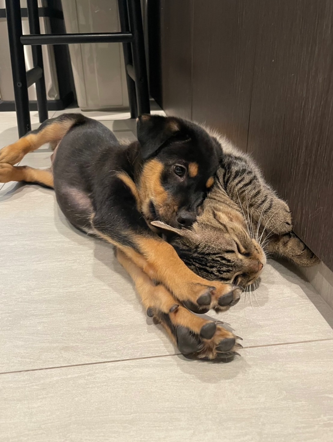 จั๊กจั่น - อคัมย์สิริ สุวรรณศุข