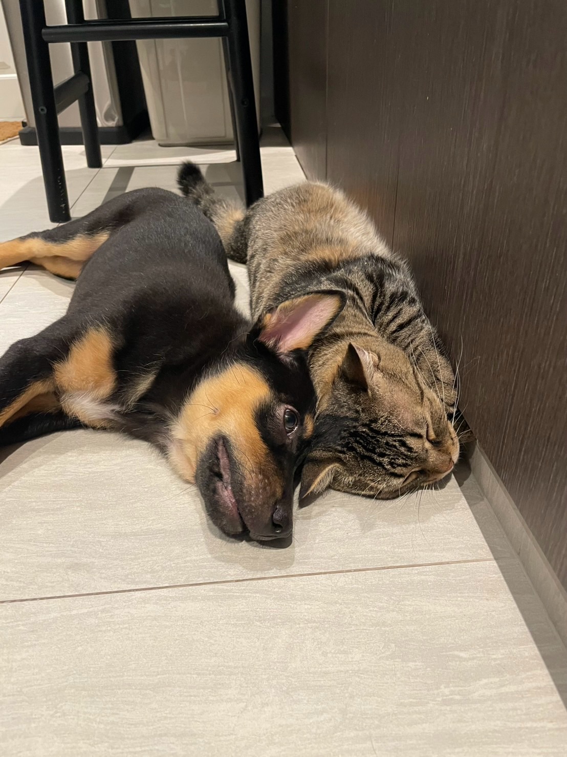 จั๊กจั่น - อคัมย์สิริ สุวรรณศุข