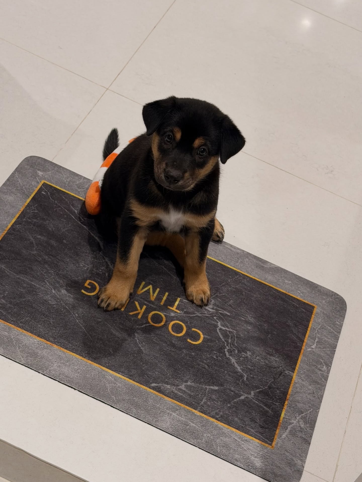 จั๊กจั่น - อคัมย์สิริ สุวรรณศุข