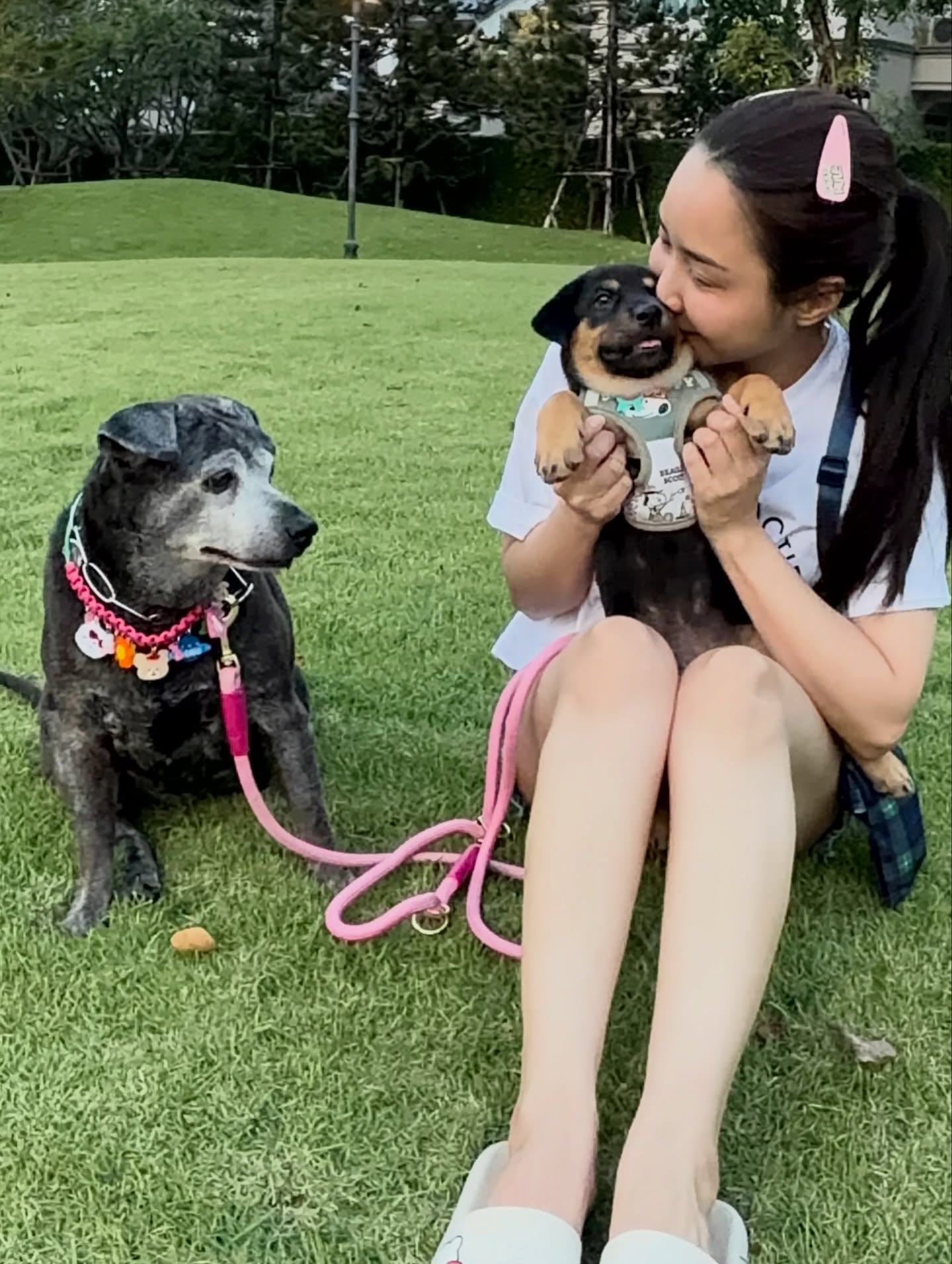 จั๊กจั่น - อคัมย์สิริ สุวรรณศุข